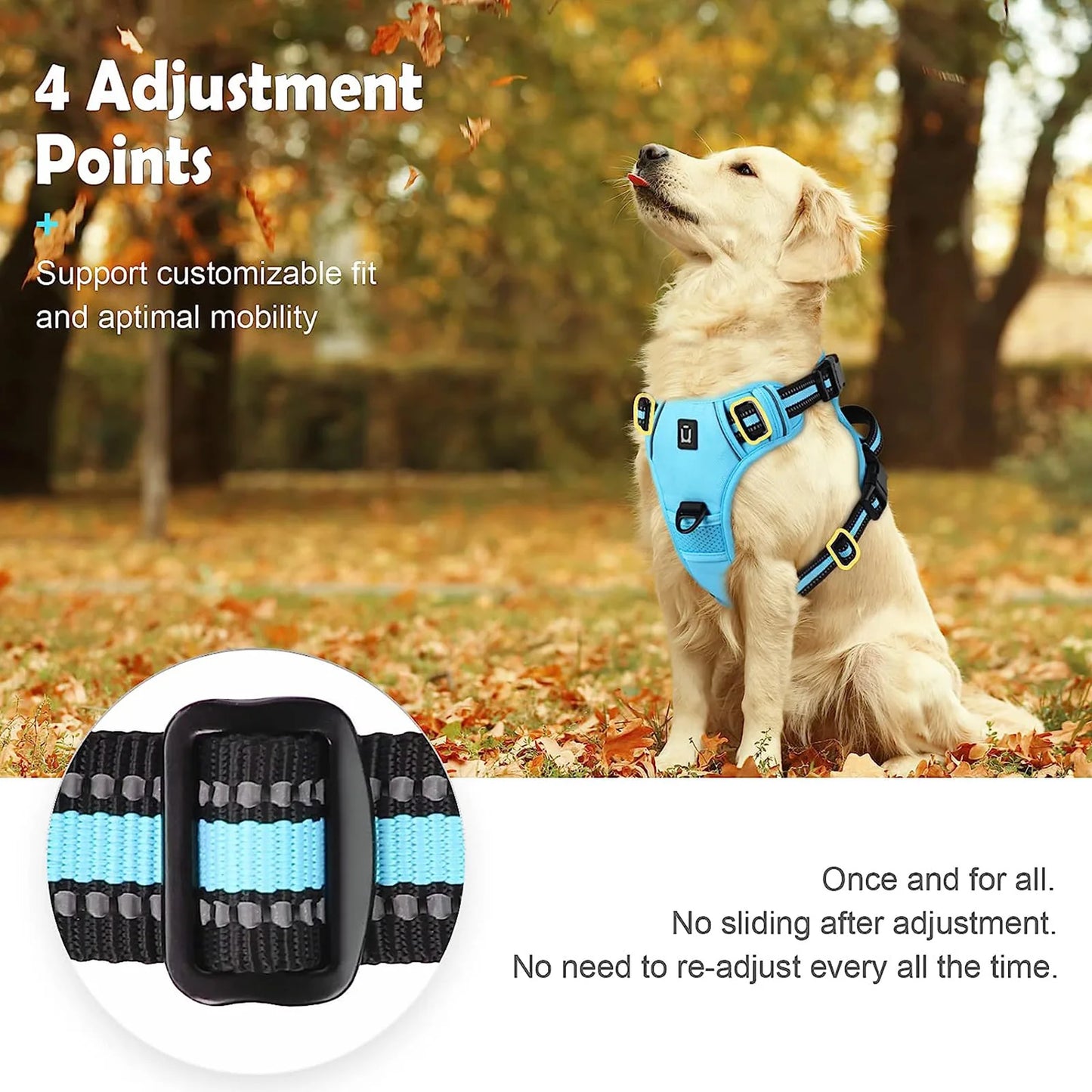 ComfortFit No-Pull Dog Harness