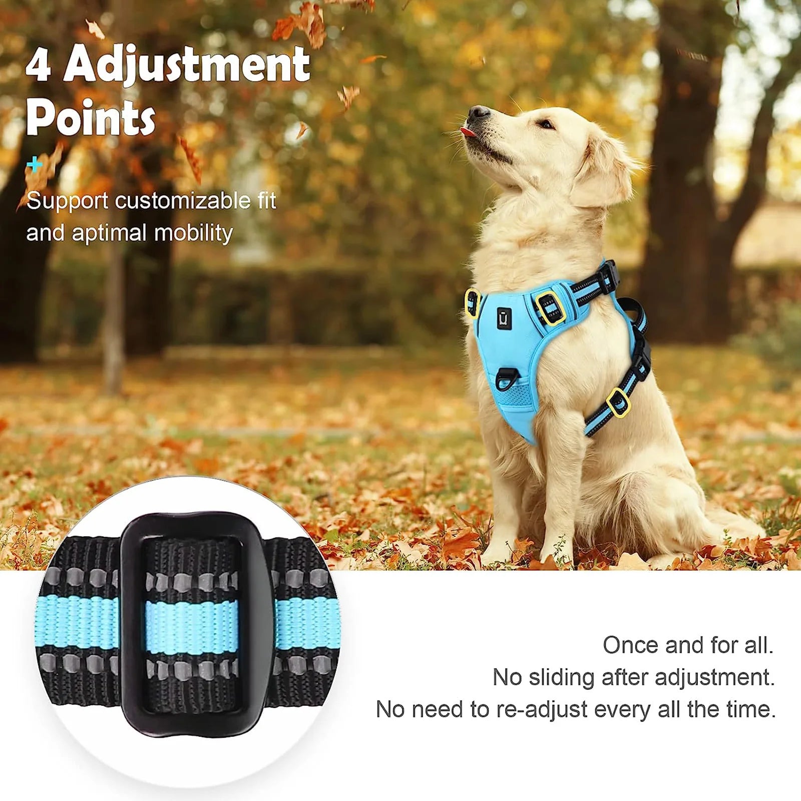 ComfortFit No-Pull Dog Harness